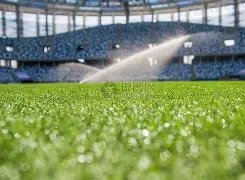 赛季德甲联,赛第,轮精彩瞬间,竞彩足球比分,竞彩体育即时比分,竞彩体育比分网,比分直播